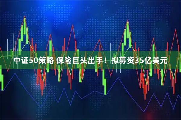 中证50策略 保险巨头出手！拟募资35亿美元