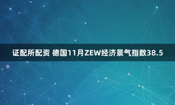 证配所配资 德国11月ZEW经济景气指数38.5