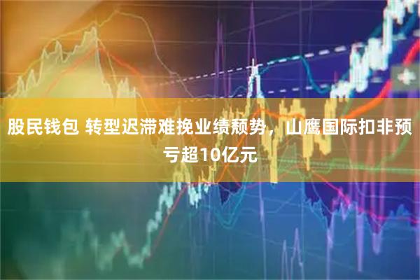 股民钱包 转型迟滞难挽业绩颓势，山鹰国际扣非预亏超10亿元