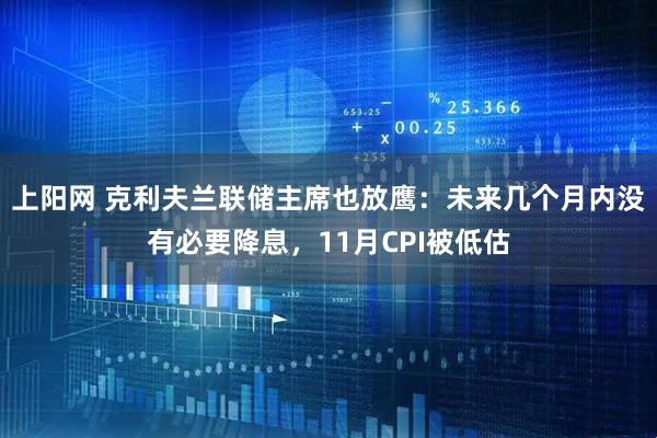 上阳网 克利夫兰联储主席也放鹰：未来几个月内没有必要降息，11月CPI被低估