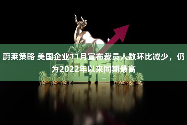 蔚莱策略 美国企业11月宣布裁员人数环比减少，仍为2022年以来同期最高